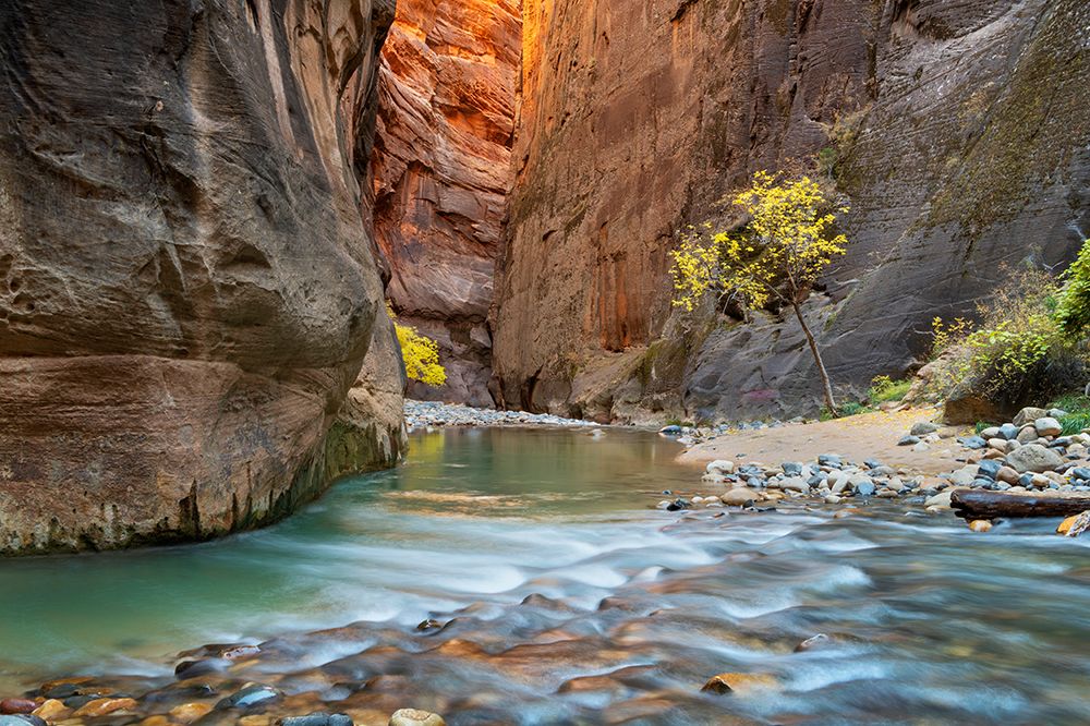 Zion Canyon The Narrows-Zion National Park-Utah art print by Alan Majchrowicz for $57.95 CAD